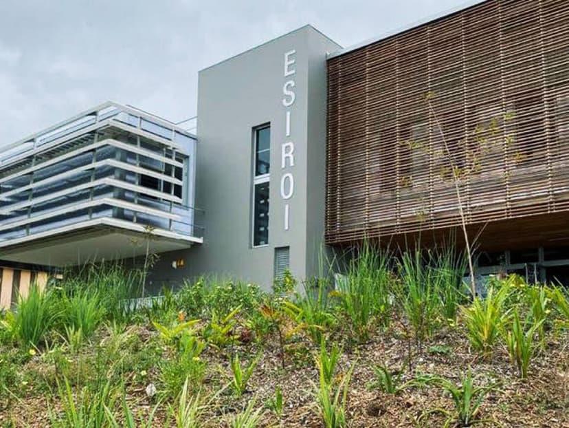 Bannière de ESIROI – Université de la Réunion