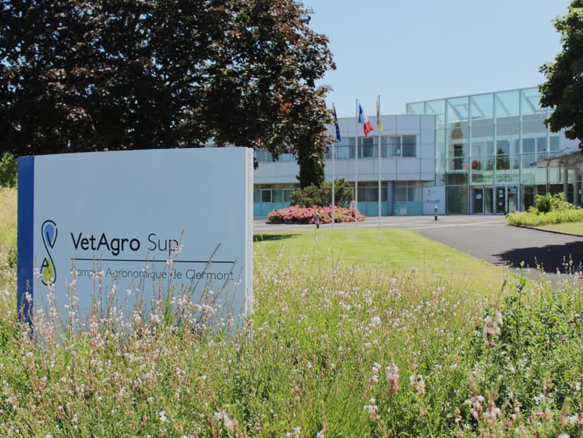 Bannière de VetAgro Sup