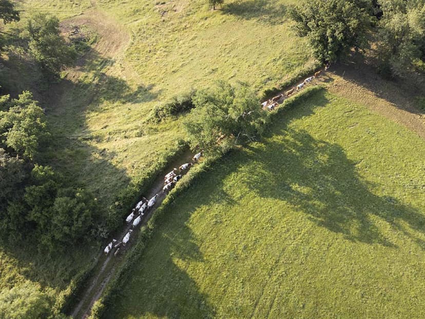 Bannière de Agreenium