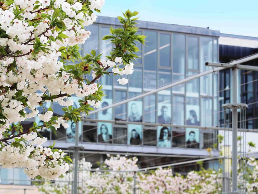 Bannière de Avignon Université