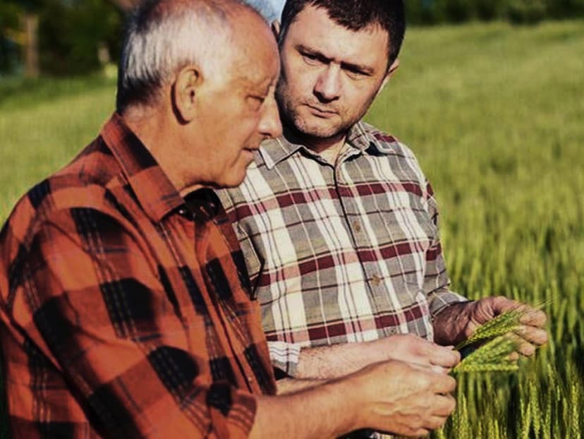 Bannière de La Coopération Agricole